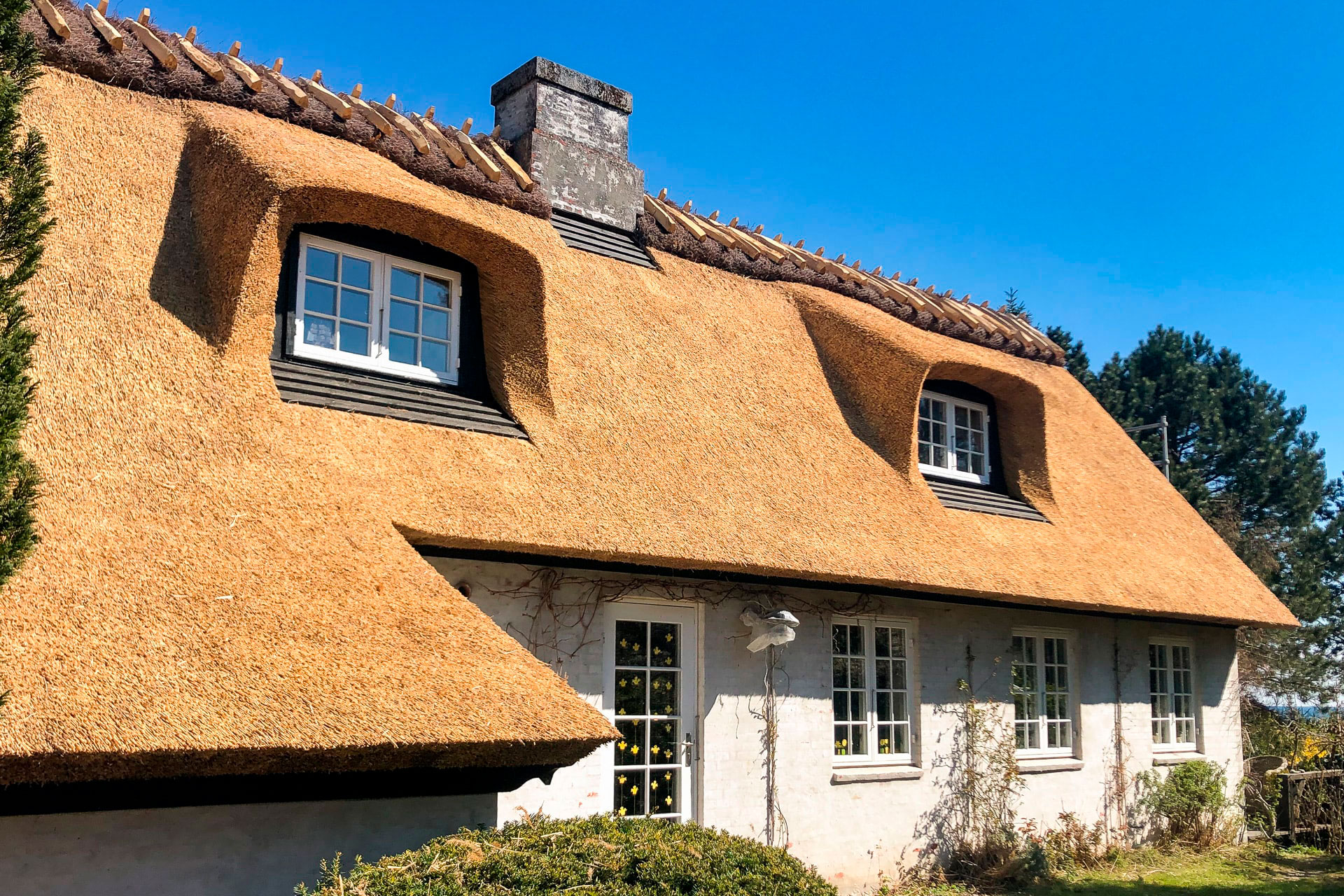 Stråtag - traditionelt strå tag på hus